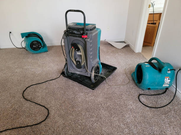 Best Professional water damage repair  in Mountain Road, VA