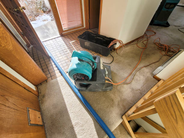 Best Ceiling water damage repair  in Mountain Road, VA
