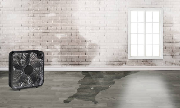 Best Emergency water damage restoration  in Mountain Road, VA