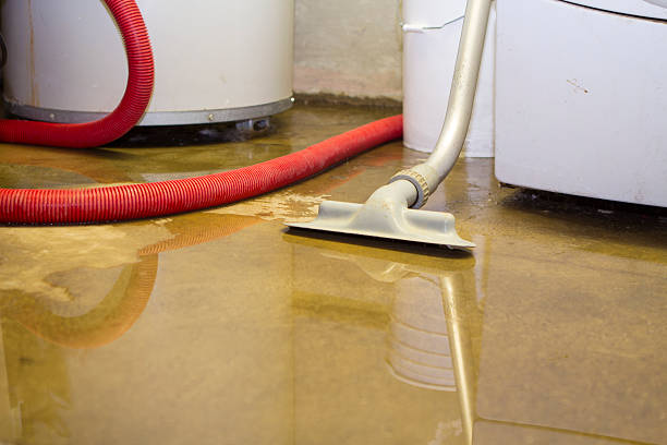 Best Fire Damage Restoration  in Mountain Road, VA