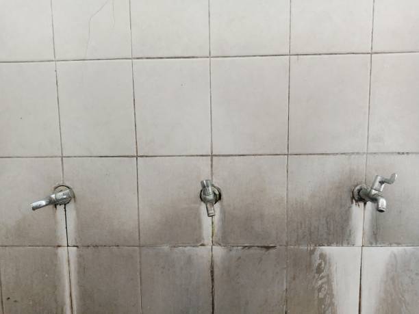 Best Commercial water damage restoration  in Mountain Road, VA