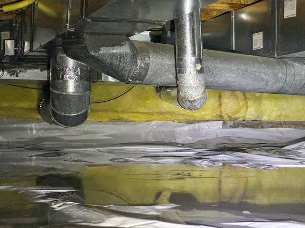 Best Flood restoration services  in Mountain Road, VA