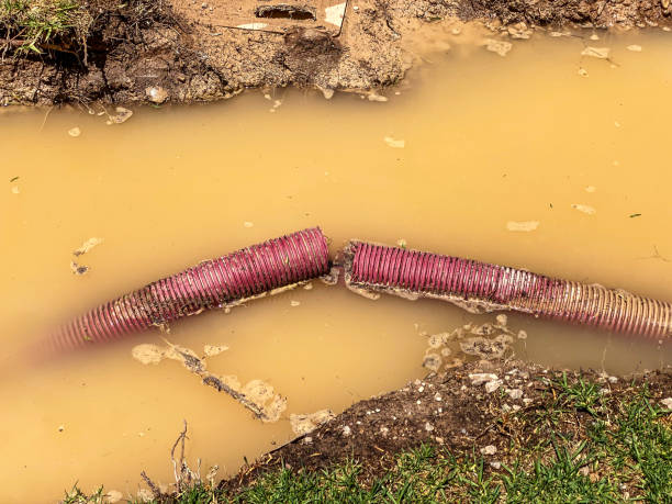 Best Basement water damage restoration  in Mountain Road, VA