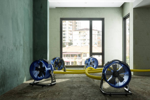 Best Water damage restoration near me  in Mountain Road, VA